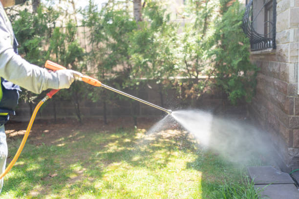 Professional Pest Control in Three Rivers, OR